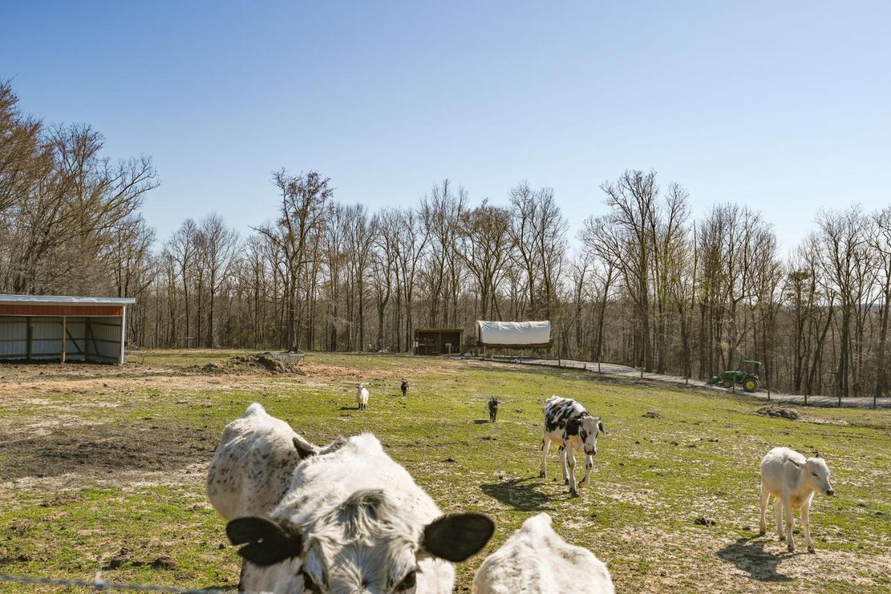 Ultimate Covered Wagon Pioneers Paradise Brownsville Luaran gambar
